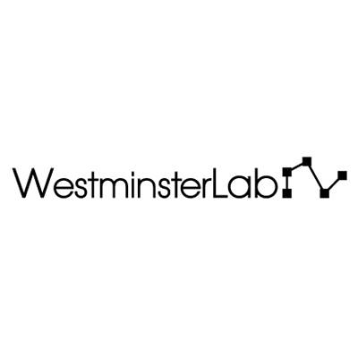 Westminsterlab Phono Ultra (1Paar)